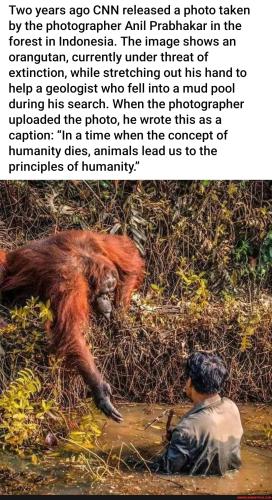 c490fa0ff7583eb6ff3b55b7d4ade427a615daf1635120815ade9d6217195da6_1