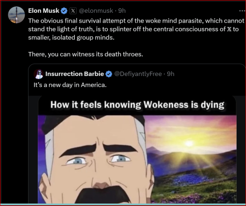 Wokeness 1