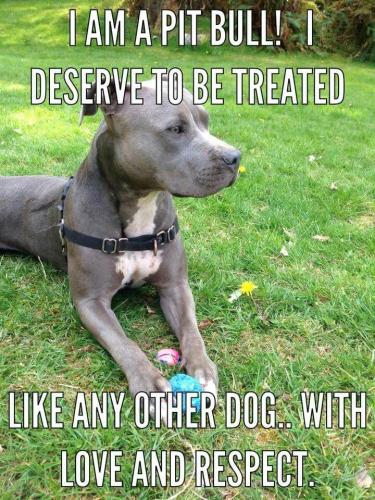 4e887cf3b47cfbbb540b1e400543025d