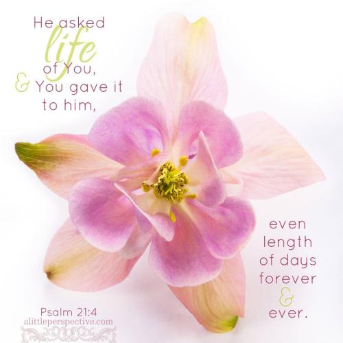 psa-21-4-KJV-pixabay-9x