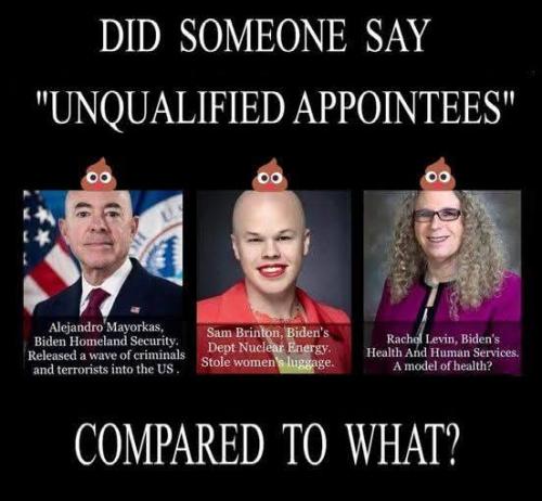 FB_IMG_1731973887838