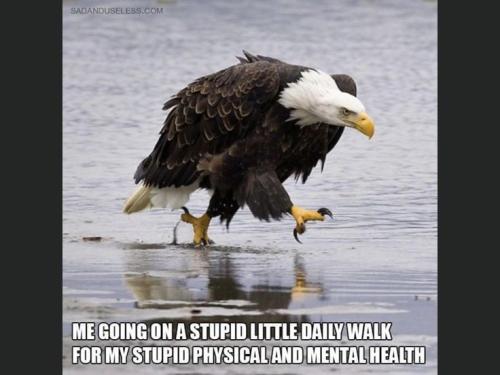 698dc0bf064bccac3a46426e3af0795b