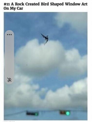 Screenshot_20241121-081011_Gallery