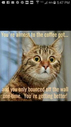 1ddeee38d91f97c56665e0d02fb4b8c2