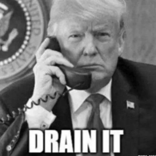 TRUMP DRAIN IT
