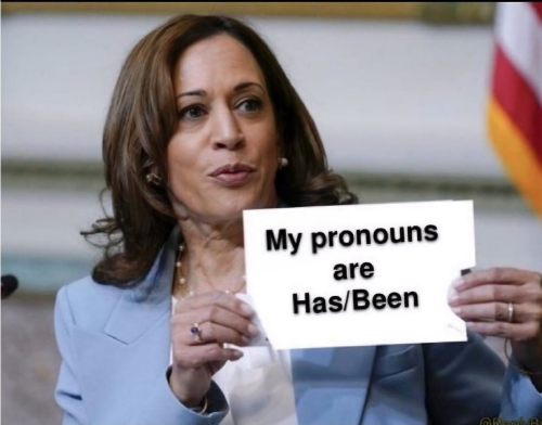 image_2024-11-29_084421151