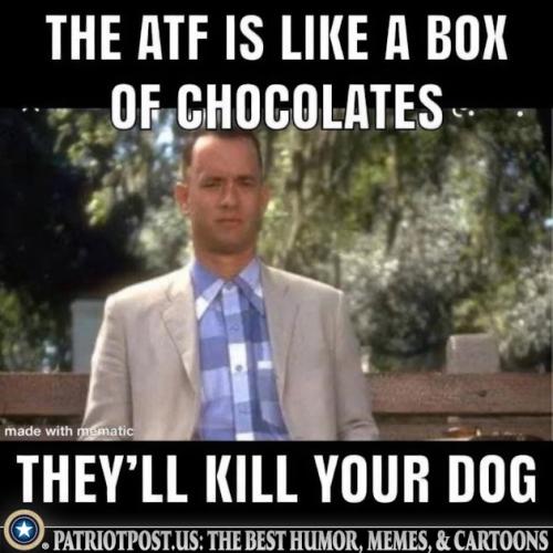 01JD95AYB11XN7ZP5RQDRYSXKB