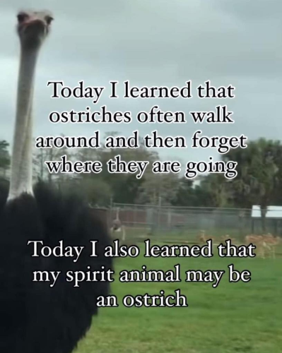 image_BB5D07EE-BE37-4C3C-BC7A-E589903B91E8