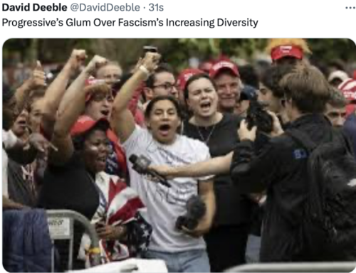 FASCISTS DIVERSITY