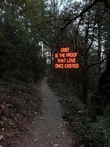 466917973_1139002474248985_7365766369635404654_n