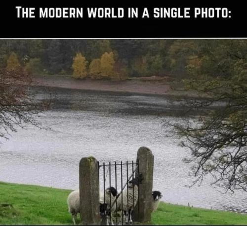 486B73D0-ED91-4CB4-A63E-4F1DA56764B5