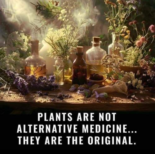 F5F1623A-310F-43D3-9D29-1F7015FF0B9C