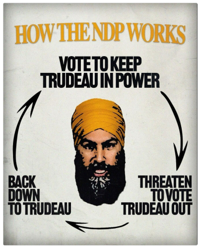 how the NDP works