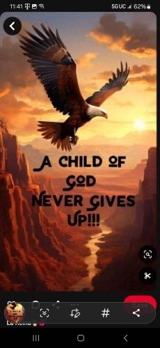 Screenshot_20241127_114139_Pinterest