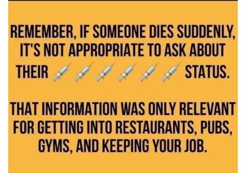 Screenshot_2024-11-20-06-45-50-97_a23b203fd3aafc6dcb84e438dda678b6