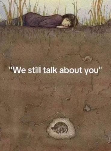 20241127_233636