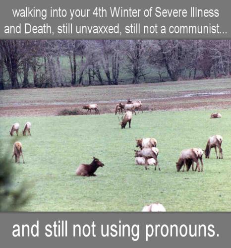 a winter of severe illness and death21