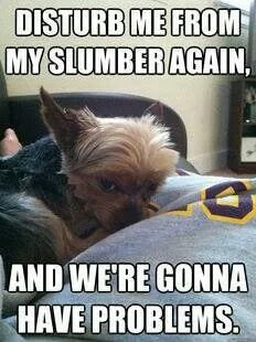 02389adff987782b067b70a41322de32