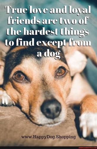 b9c1d4509884e3199a008de73b0eb66ea095d4100faef14baa3cf88320e13a26_1