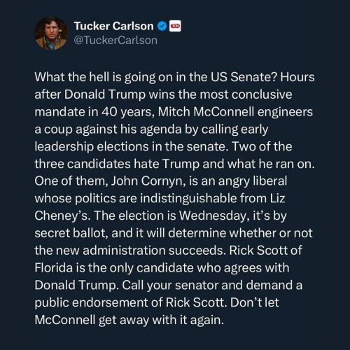 FB_IMG_1731187975048