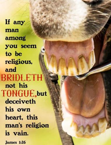 283ba9a1-0a66-4f7f-852d-58ab14a9b829