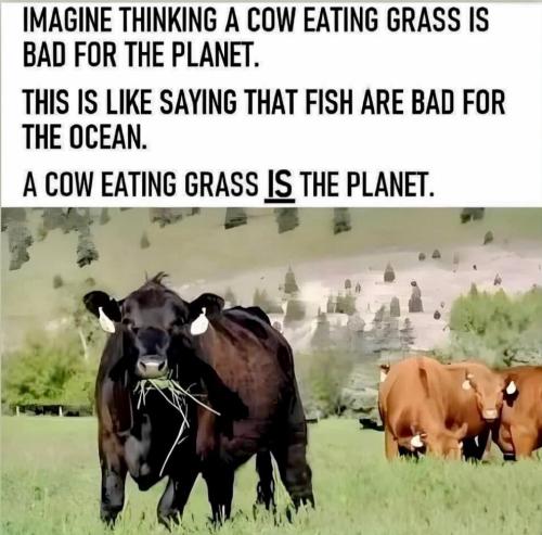 69d34eec-a211-4078-b143-3bbda03714e2