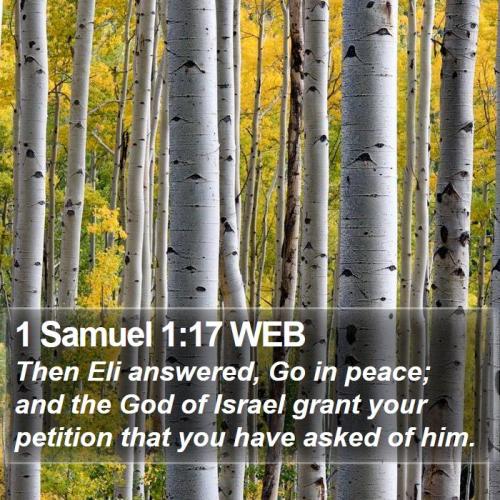 1 Samuel 1_17