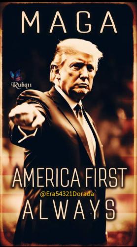 IMG_20241128_034505_796