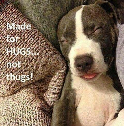 87e70f0be36e0a37568e9a9a17a87379