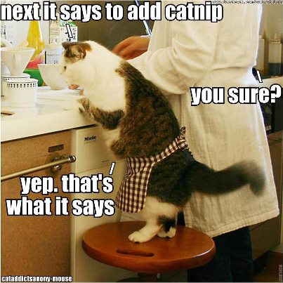 thanksgiving-cat-cooking-kitchen-kitty-help-lolcats