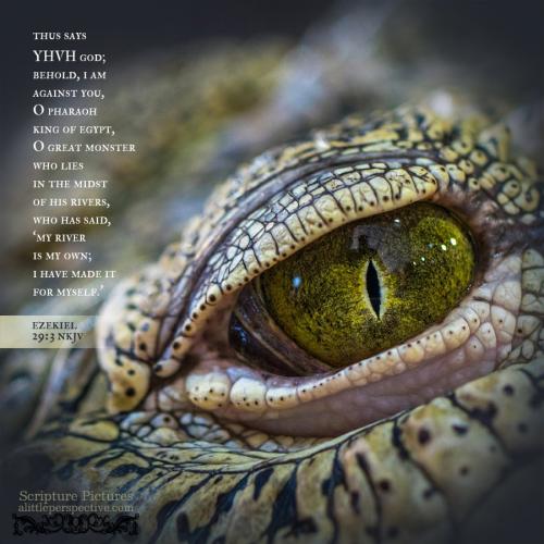 eze-29-3-NKJV-unsplash