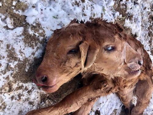 photo_2024-11-29_20-10-18