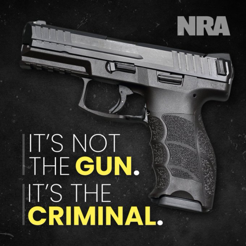 image_2024-11-24_095331006