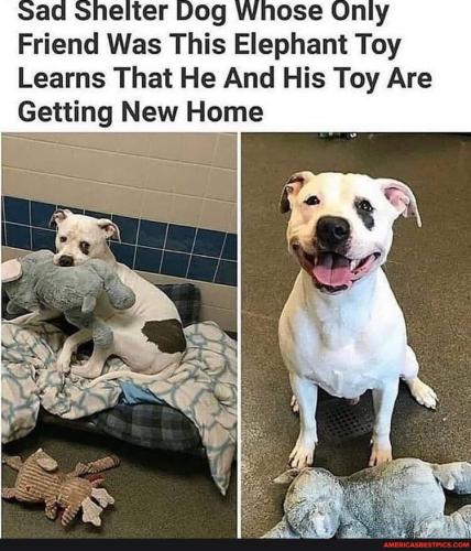 23e978a6a2a0172cd9b12fa031917c556f490018fdd69e074e915b4a06ab29fb_1