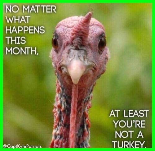 IMG_20241105_032846_565