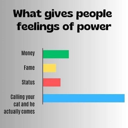 gives-people-feelings-power-money-fame-status-calling-cat-and-he-actually-comes