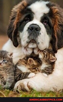 37ff97168bac106db58527c6bfb3ab561a26318183a4cd5fd48f0f6503f90bf4_1