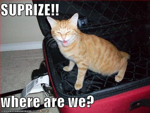 aae60663c1ca8ef420bde93d3a712381