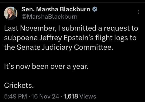 photo_2024-11-23_00-19-24