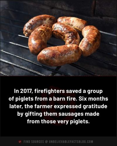 firefighter saved