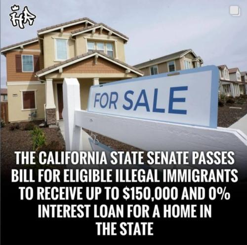 photo_2024-08-28_20-57-11