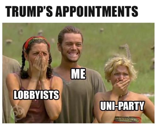 image_3863F25B-D88E-4FFA-B0B6-40B5608BDFB2