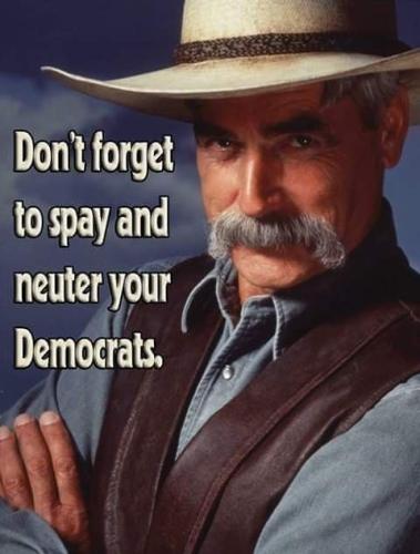 4430b06a63008700f6cc0cfea99d6cdd