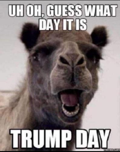 TRUMP DAY