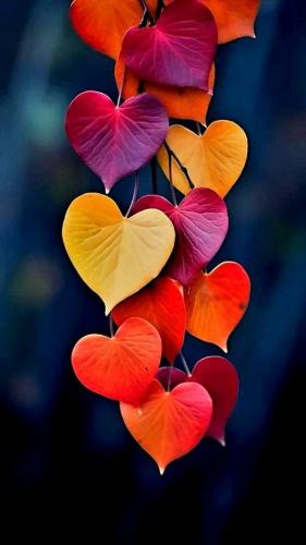 464630434_1099872301712343_2358864532139550520_n
