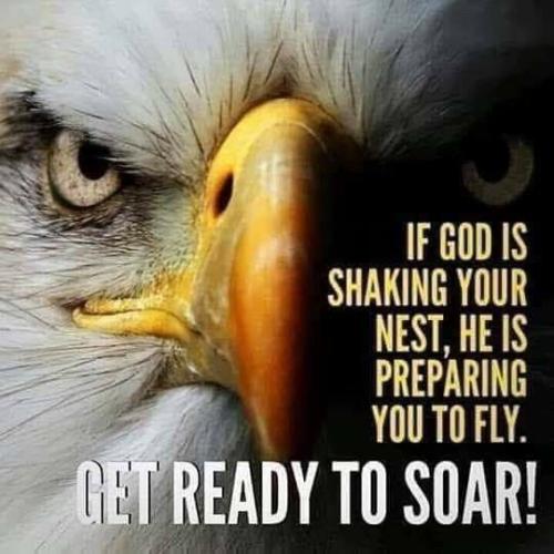 f27d427af35cf9abbd953d4f593f37ee