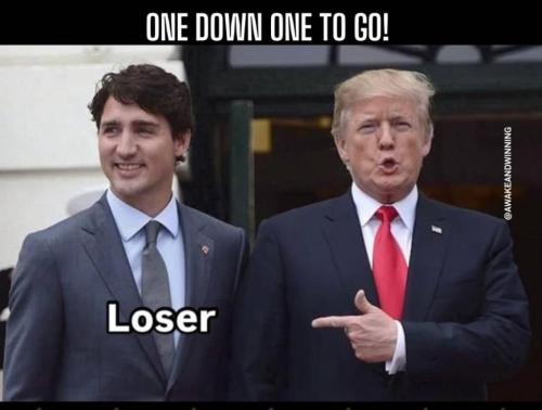 photo_2024-11-11_13-23-35