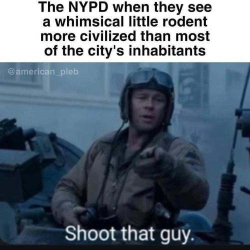 photo_2024-11-03_19-21-58