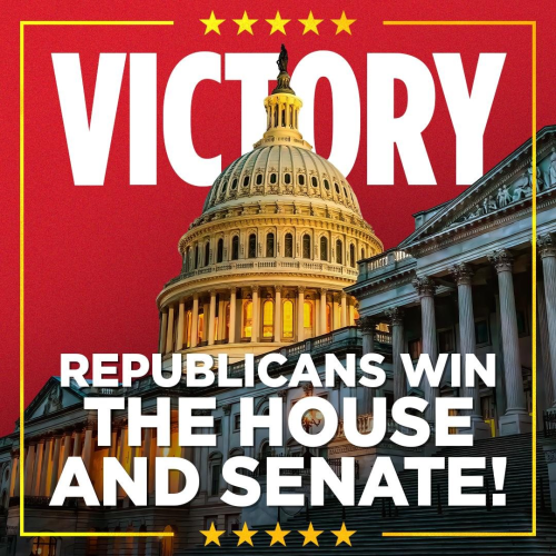 image_2024-11-14_063618519