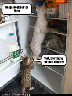 6014baf506c92f5761b9b0ce382283a5